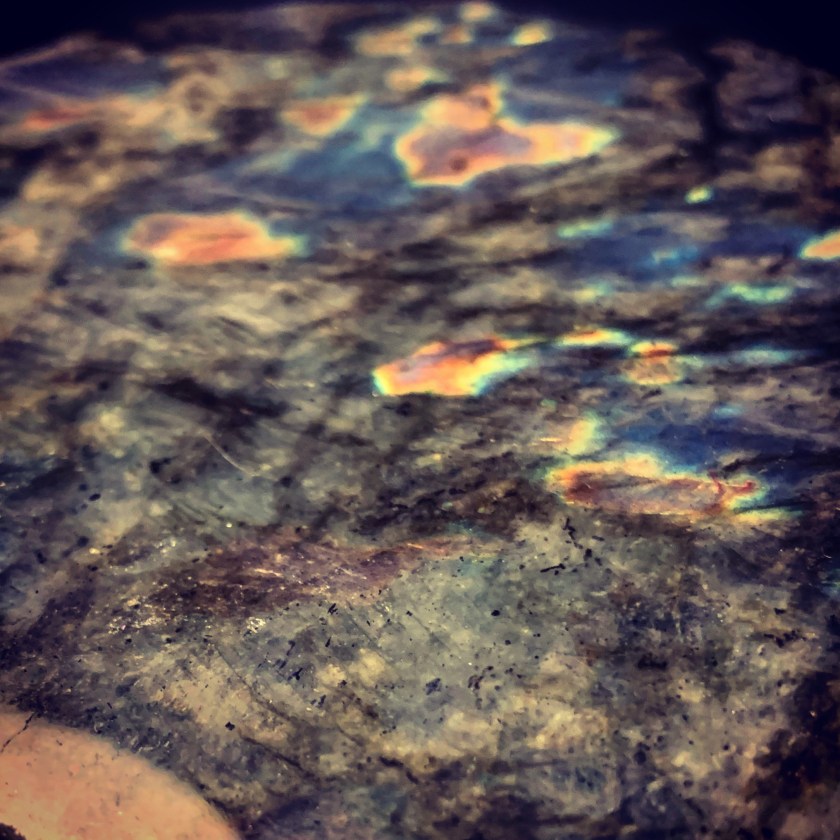 CDFE4AE8-037D-4D28-BBBF-5D8A5EA92547