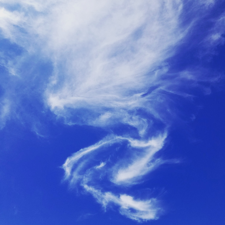 87BA77E4-29CF-4E5B-8B57-53F3F2E0555C