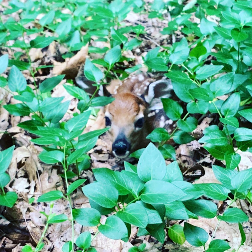 8D880885-FCB7-4B80-8C2B-4E6BF556CC25