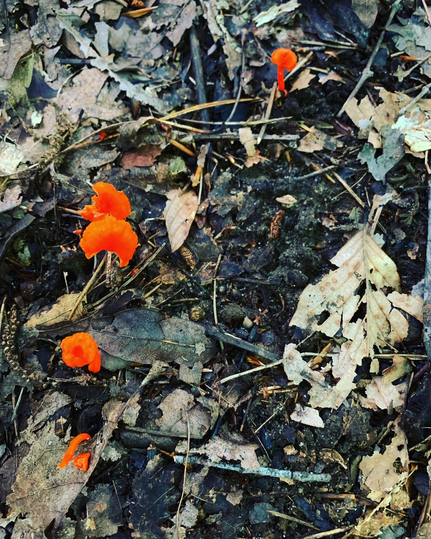 535C2977-8787-47BA-9F3A-1603E98AB6FF