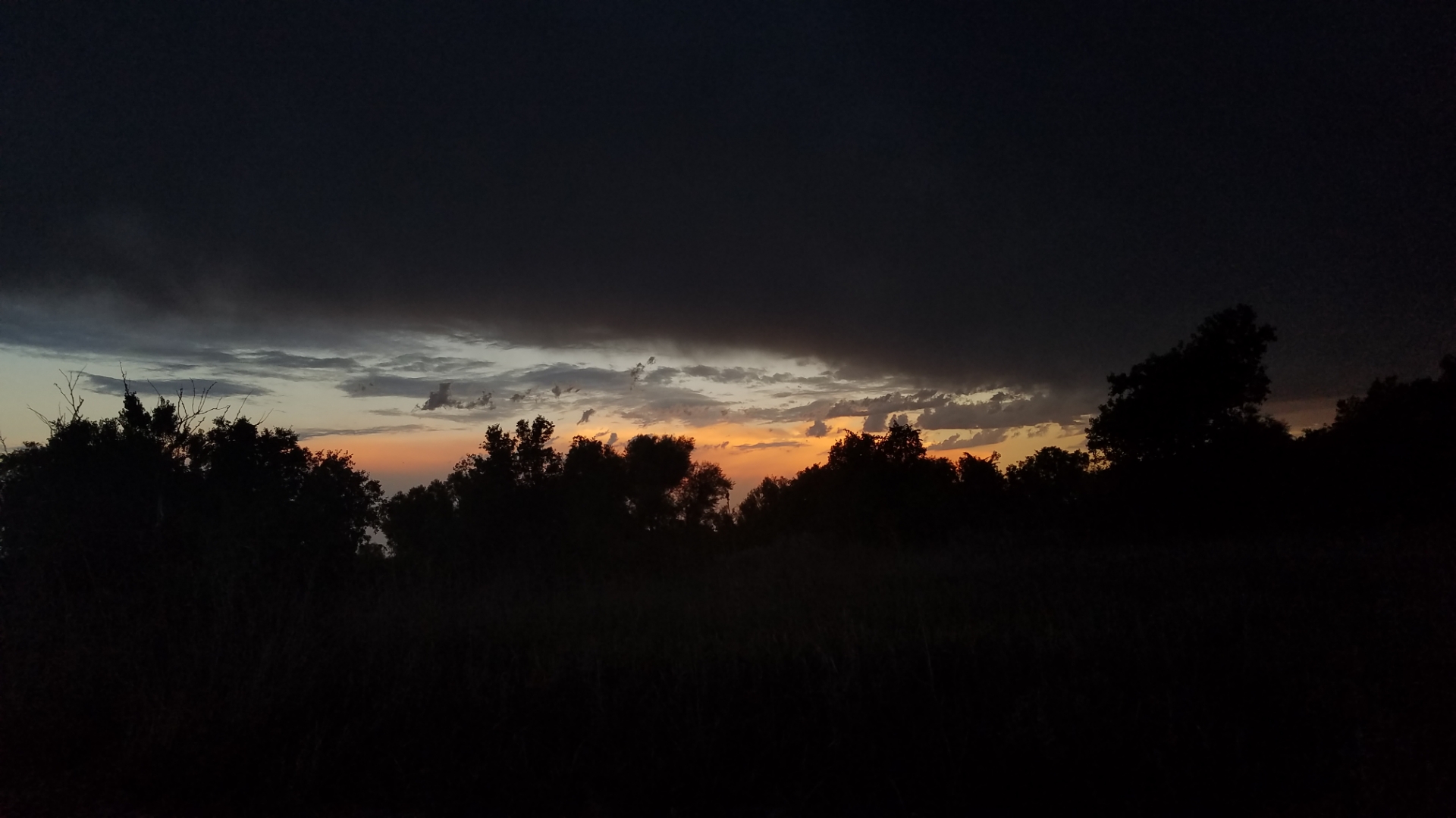 5C9D9D62-7B65-4FC5-9244-139145624647