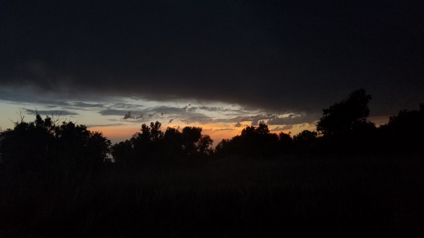 5C9D9D62-7B65-4FC5-9244-139145624647