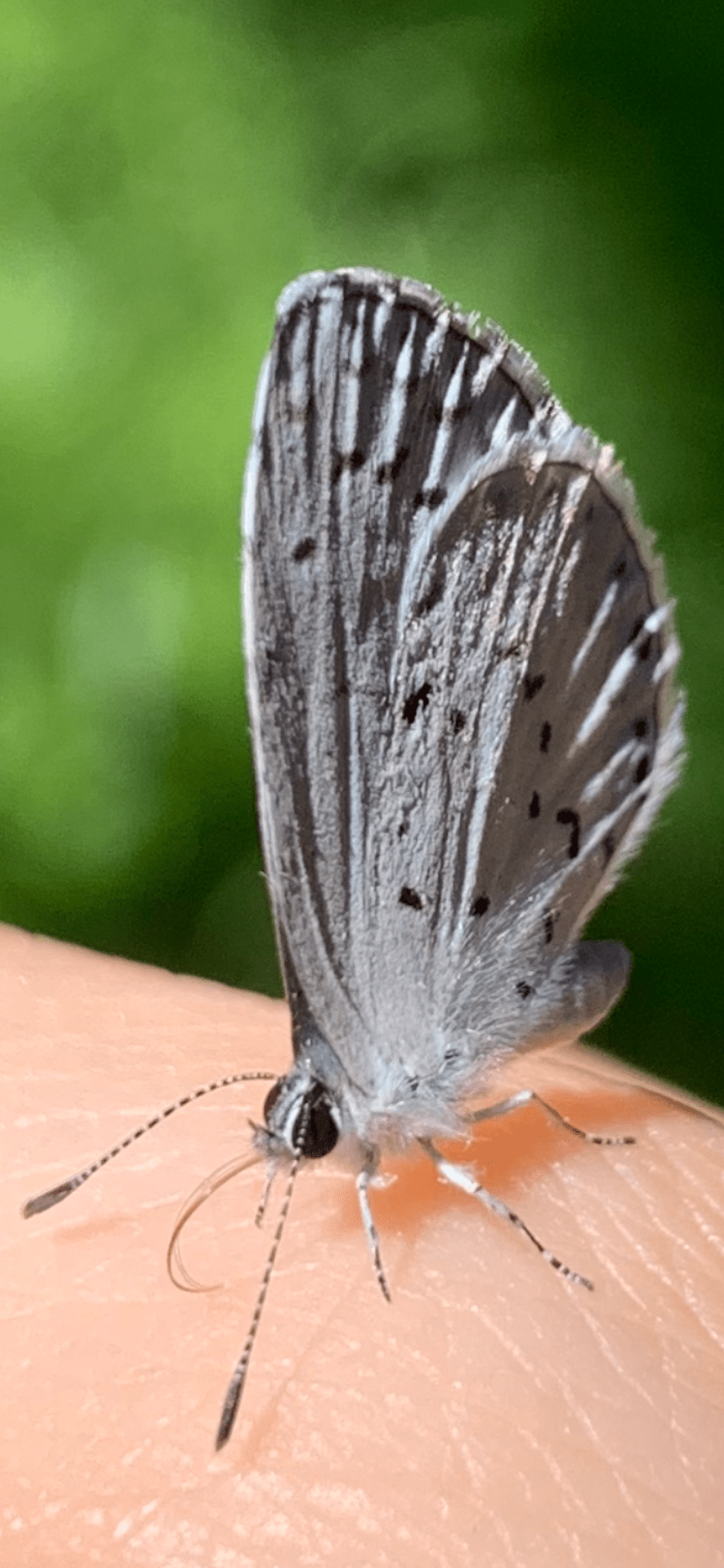 75A302DD-7BD7-48A8-AC47-2CD8B8D14CF9