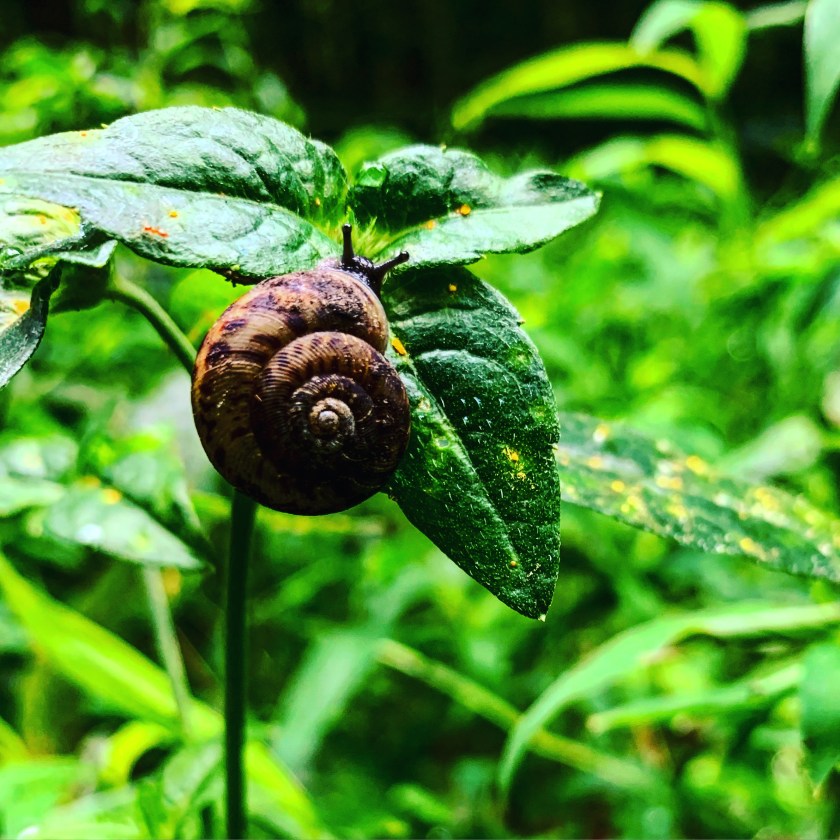 A730E578-2AEE-4088-91B3-61D387A1EC99