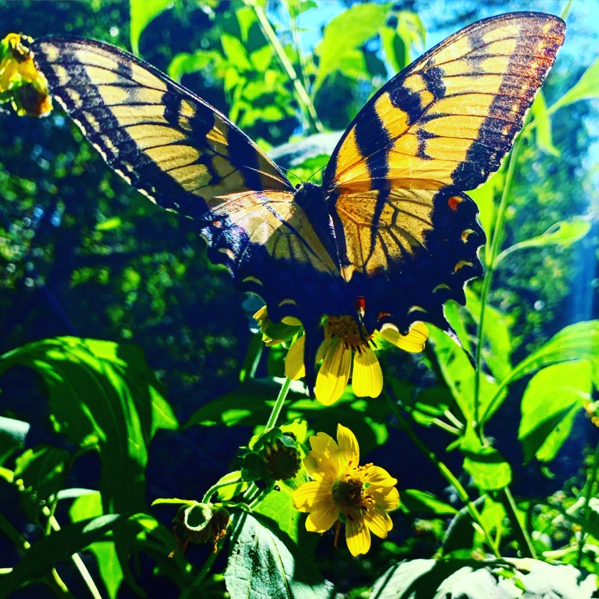 F20296D1-CCF0-4470-BC86-4745A885636B